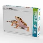 Puzzle &middot; Leopardgecko - Eublepharis macularius | 1000 Teile &middot; Lege-Gr&ouml;&szlig;e 64...