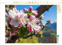 CALVENDO Puzzle Apfelbl&uuml;te in S&uuml;dtirol | 1000 Teile Lege-Gr&ouml;&szlig;e 64 x 48 cm