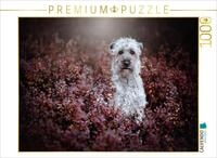 Puzzle &middot; Irish Soft Coated Wheaten Terrier | Verloren im Herbsttraum &middot;...