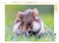 CALVENDO Puzzle Feldhamster | 1000 Teile Lege-Gr&ouml;&szlig;e 64 x 48 cm Foto-Puzzle...