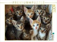 Puzzle &middot; K&auml;tzchen - kuschliger Haufen | 1000 Teile &middot; Lege-Gr&ouml;&szlig;e 64 &times; 48...