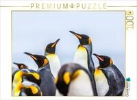 Puzzle &middot; K&ouml;nigspinguine - Zusammenkunft | 1000 Teile &middot; Lege-Gr&ouml;&szlig;e 64 &times; 48 cm &middot;