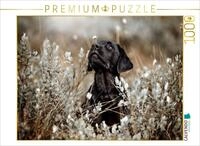Puzzle &middot; Labrador Retriever Welpe | Goldene Stunde, schwarzes Fell &middot; Natur...