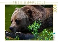 Puzzle &middot; Brot und Spiele | Grizzlyb&auml;r in Glendale Cove Fjord, Kanada &middot; 1000...
