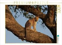 Puzzle &middot; Eine Leopardin auf einem Baum am Chobe in Botswana | Portr&auml;t einer