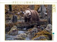 Puzzle &middot; Erste Nahrungssuche | Grizzly in Glendale Cove Fjord, Kanada &middot; 1000...