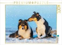 CALVENDO Puzzle EIN sch&ouml;nes Paar - Langhaar und Kurzhaar | 1000 Teile...