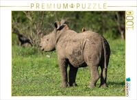 Puzzle &middot; Kleines Breitmaulnashorn mit Madenhacker in S&uuml;dafrika | Portr&auml;t...