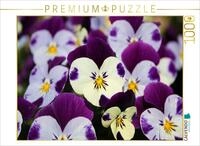 Puzzle &middot; Hornveilchen | 1000 Teile &middot; Lege-Gr&ouml;&szlig;e 64 &times; 48 cm &middot; CALVENDO...