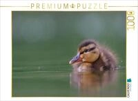 CALVENDO Puzzle Stockente (Mallard) | 1000 Teile Lege-Gr&ouml;&szlig;e 64 x 48 cm...