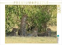 Puzzle &middot; Geparden unter schattigem Busch | 1000 Teile &middot; Lege-Gr&ouml;&szlig;e 64 &times; 48...