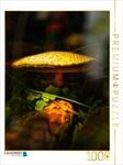 Puzzle &middot; Das Besondere sehen | 1000 Teile &middot; Lege-Gr&ouml;&szlig;e 64 &times; 48 cm &middot;...