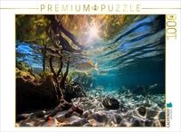 CALVENDO Puzzle In den Mangroven - Tropische Fische | 1000 Teile Lege-Gr&ouml;&szlig;e...