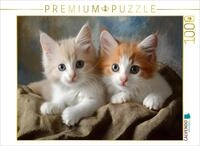 CALVENDO Puzzle S&uuml;sse Katzengeschwister | 1000 Teile Lege-Gr&ouml;&szlig;e 64 x 48 cm