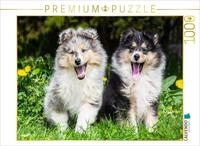 CALVENDO Puzzle Zwei, die hinaus wollen in die Welt | 1000 Teile Lege-Gr&ouml;&szlig;e...
