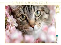 CALVENDO Puzzle Wundersch&ouml;ne Tigerkatze im Fr&uuml;hling | 1000 Teile Lege-Gr&ouml;&szlig;e...