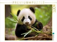 CALVENDO Puzzle Panda Jungtier | 1000 Teile Lege-Gr&ouml;&szlig;e 64 x 48 cm Foto-Puzzle...