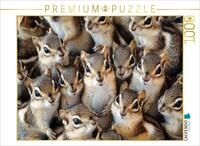 Puzzle &middot; Streifenh&ouml;rnchen Kuschelhaufen | 1000 Teile &middot; Lege-Gr&ouml;&szlig;e 64 &times; 48...