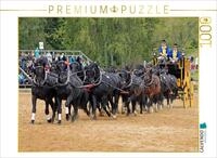 Puzzle &middot; Moritzburger Hengstparade: 16 Hengste vor der Postkutsche | 1000 Teile &middot;