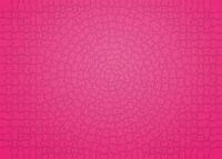 Ravensburger Krypt Puzzle Pink 12000104 - mit 654 Teilen, Schweres Puzzle f&uuml;r
