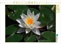 CALVENDO Puzzle Malerisch | 1000 Teile Lege-Gr&ouml;&szlig;e 64 x 48 cm Foto-Puzzle f&uuml;r