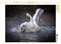 CALVENDO Puzzle Tanz 02 | 1000 Teile Lege-Gr&ouml;&szlig;e 64 x 48 cm Foto-Puzzle f&uuml;r