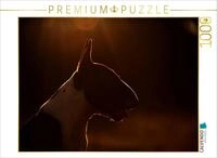 Puzzle &middot; Bullterrier | Bullterrierpotrait im Sonnenuntergang &middot; 1000 Teile &middot;