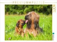 Puzzle &middot; Briard- H&uuml;ndin mit einem ihrer Welpen | 1000 Teile &middot; Lege-Gr&ouml;&szlig;e...
