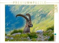 Puzzle &middot; Der K&ouml;nig der Alpen | Die majest&auml;tische Herrschaft des Steinbocks...