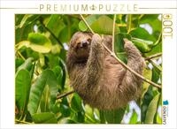 CALVENDO Puzzle Dreifinger-Faultier | 1000 Teile Lege-Gr&ouml;&szlig;e 64 x 48 cm...