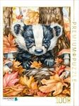 Puzzle &middot; Junger niedlicher Dachs im Wald zwischen Pilzen | Junger niedlicher...