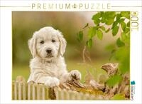 CALVENDO Puzzle EIN Motiv aus dem Kalender Golden Retriever... Herzenshunde |...