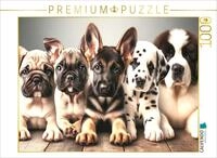 CALVENDO Puzzle F&uuml;nf freche Fellnasen in Bezaubernder Eintracht - EIN Motiv...
