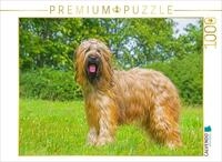 Puzzle &middot; Eine wahre Sch&ouml;nheit - Briard | 1000 Teile &middot; Lege-Gr&ouml;&szlig;e 64 &times; 48...