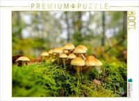 CALVENDO Puzzle Schwefelkopf | 1000 Teile Lege-Gr&ouml;&szlig;e 64 x 48 cm Foto-Puzzle...