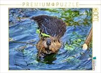 Puzzle &middot; Biber Snack | Nagetiere und Wildtiere &middot; 1000 Teile &middot; Lege-Gr&ouml;&szlig;e 64 &times;