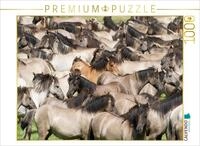 CALVENDO Puzzle Kraftvoller Herdentrieb | 1000 Teile Lege-Gr&ouml;&szlig;e 64 x 48 cm