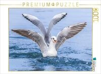 CALVENDO Puzzle Perfekte Landung &ndash; Eleganz auf dem Wasser! | 1000 Teile