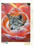 CALVENDO Puzzle Tr&auml;umender Wolf im Bl&uuml;tenzauber | 1000 Teile Lege-Gr&ouml;&szlig;e 64...
