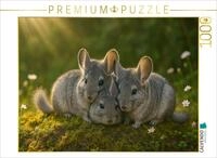 Puzzle &middot; Kuschelstunde - DREI Chinchillas | 1000 Teile &middot; Lege-Gr&ouml;&szlig;e 64 &times;...
