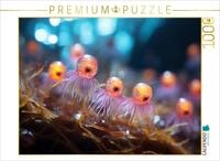 CALVENDO Puzzle Oktopus Tanz - lustige Mikroorganismen | 1000 Teile...