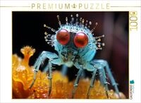 CALVENDO Puzzle Puck die Stubenfliege - Mikroorganismen | 1000 Teile...