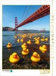 CALVENDO Puzzle Sightseeing in USA - Gummienten an der Golden Gate Bridge | 1000