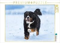 CALVENDO Puzzle Berner Sennenhund im Schnee | 1000 Teile Lege-Gr&ouml;&szlig;e 64 x 48 cm