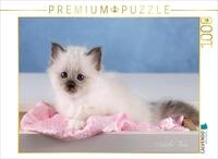 CALVENDO Puzzle EIN Motiv aus dem Kalender Heilige Birma Kitten - EIN Traum auf