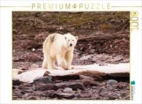 Puzzle &middot; Eisb&auml;r | Entdeckungstour am Strand &middot; 1000 Teile &middot; Lege-Gr&ouml;&szlig;e 64...