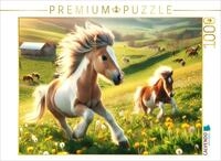 CALVENDO Puzzle Fr&uuml;hlingserwachen der Ponys | 1000 Teile Lege-Gr&ouml;&szlig;e 64 x 48...