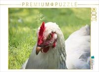 CALVENDO Puzzle Gl&uuml;ckliche Freilandh&uuml;hner | 1000 Teile Lege-Gr&ouml;&szlig;e 64 x 48 cm