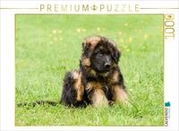 CALVENDO Puzzle Sch&auml;ferhund - Welpe R&uuml;de | 1000 Teile Lege-Gr&ouml;&szlig;e 64 x 48 cm