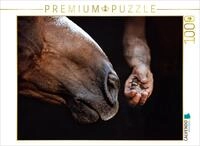 CALVENDO Puzzle Pferdemaul k&uuml;sst Vogelbaby | 1000 Teile Lege-Gr&ouml;&szlig;e 64 x 48 cm